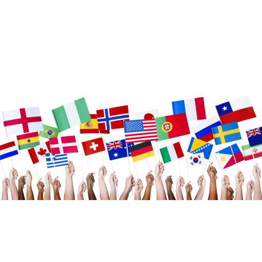 global flags.jpg